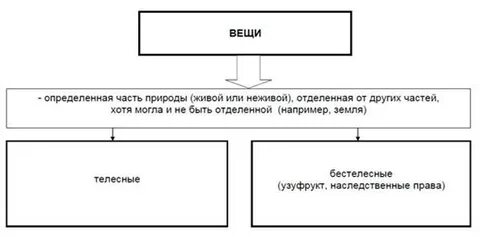 Неделимые вещи в римском праве пример