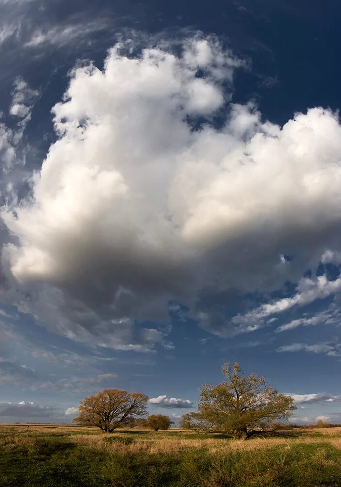 Тучи ни. Олег грачёв фотограф соль Илецк. Облака. Красивые облака. Густые облака.