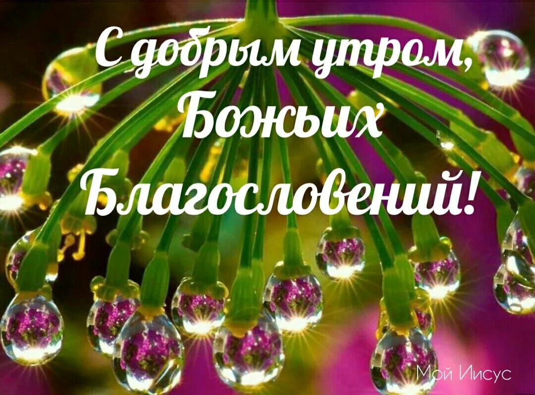 Христианские с добрым утром и благословениями. Доброе утро Божьих благословений. Открытки с Божьим благословением. Открытки с пожеланиями Божьих благословений. Христианские пожелания с добрым утром.