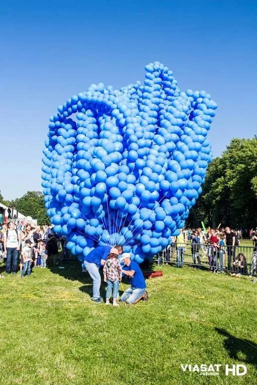 Сколько гелиевых шаров. Шары с гелием поднимают человека. Гелевый шар поднимает человека. Сколько надо воздушных шариков чтобы поднять человека. Человека подняли на шариках.