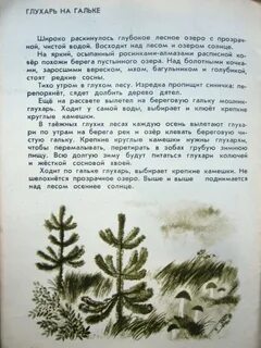 Текст дорога к озеру