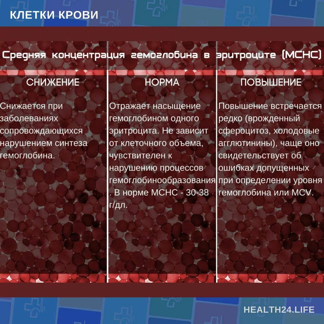 При каких заболеваниях низкий гемоглобин. Повышение содержания гемоглобина. причины изменения концентрации гемоглобина в крови. снижение содержания гемоглобина в крови. причины повышения и понижения эритроцитов.