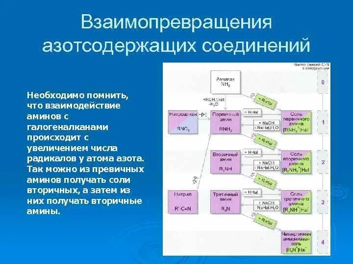 Кислородсодержащие соединения азотсодержащие соединения. Генетическая связь углеводородов 10 класс. Генетическая связь органических веществ схема. Генетическая связь между классами азотсодержащих соединений. Генетическая связь органических веществ таблица.