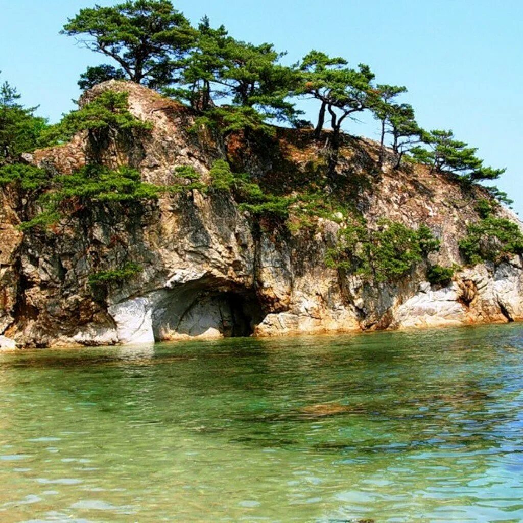 Морской заповедник Дальневосточный Владивосток. Морской заповедник Приморского края. Витязь Приморский край. Мыс Сосновый Приморский край бухта Льва. Природная среда приморского края