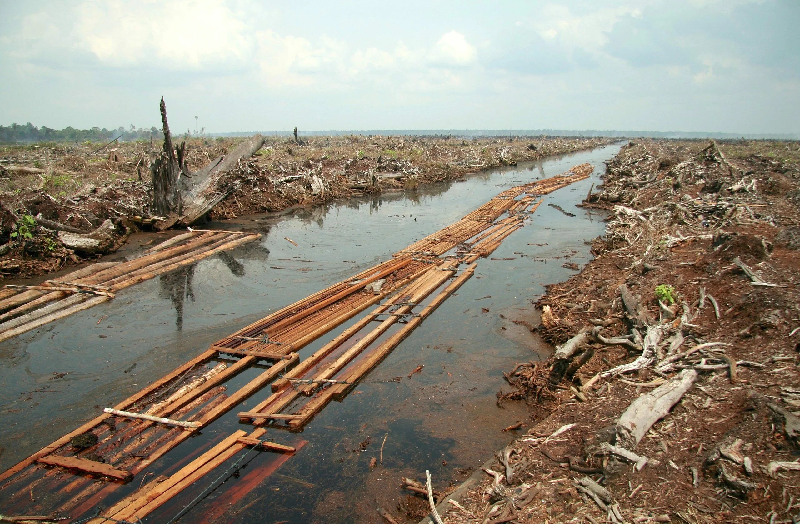 Осушение болот рационально или нерационально. Осушенные торфяники. Обмеление рек из за вырубки лесов. Экологические проблемы. Осушение водоемов.