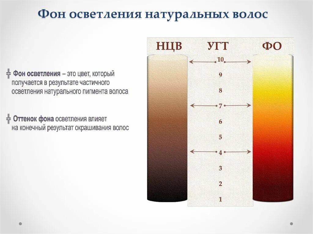 Фон осветления. Уровни тона осветления. Степени осветления волос. Фон осветления волос.