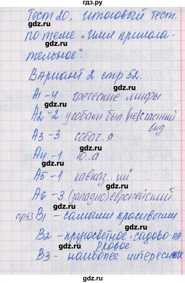 Тестирование по русскому языку вариант 2. Тестирование по русскому языку вариант 2