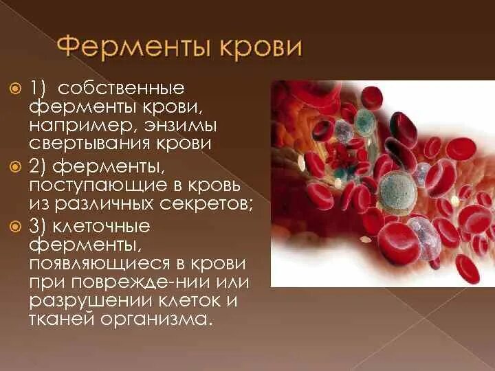 Ферменты крови. Ферментные белки крови. Энзимы в крови. Ферменты крови биохимия.