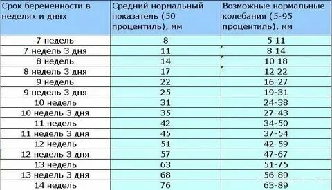 Размеры плодного яйца и эмбриона по неделям беременности таблица 60 фото