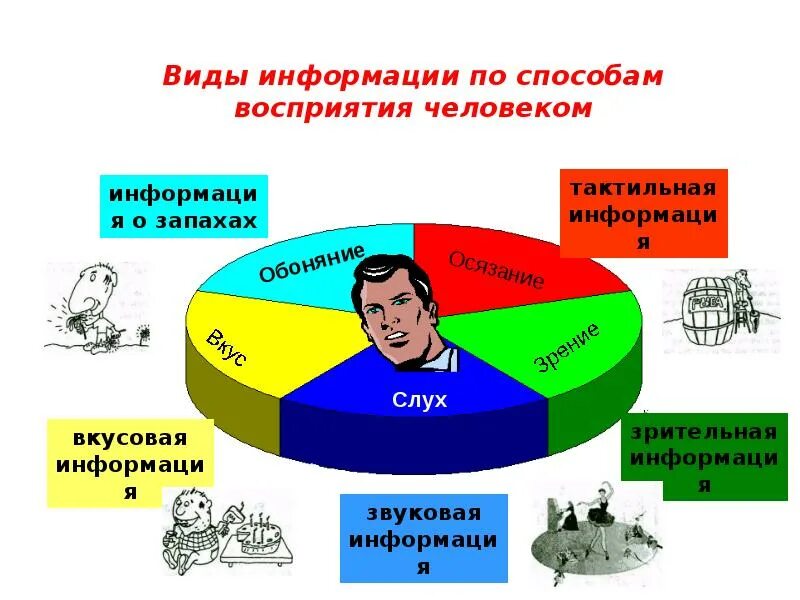Виды информации человека. Виды имиджформирующей информации. Диаграмма восприятия информации человеком. Виды информаци по способу её восприятия человеком