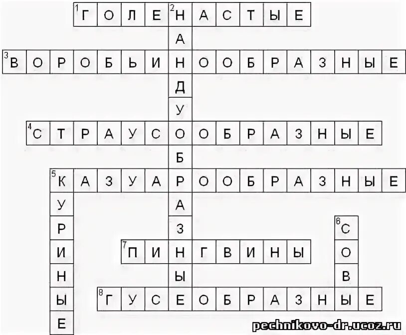 Кроссворд по классу птицы. Кроссворд по биологии класс птицы. Кроссворд по биологии 7 класс. Кроссворд отряды птиц. Кроссворд про птиц биология.