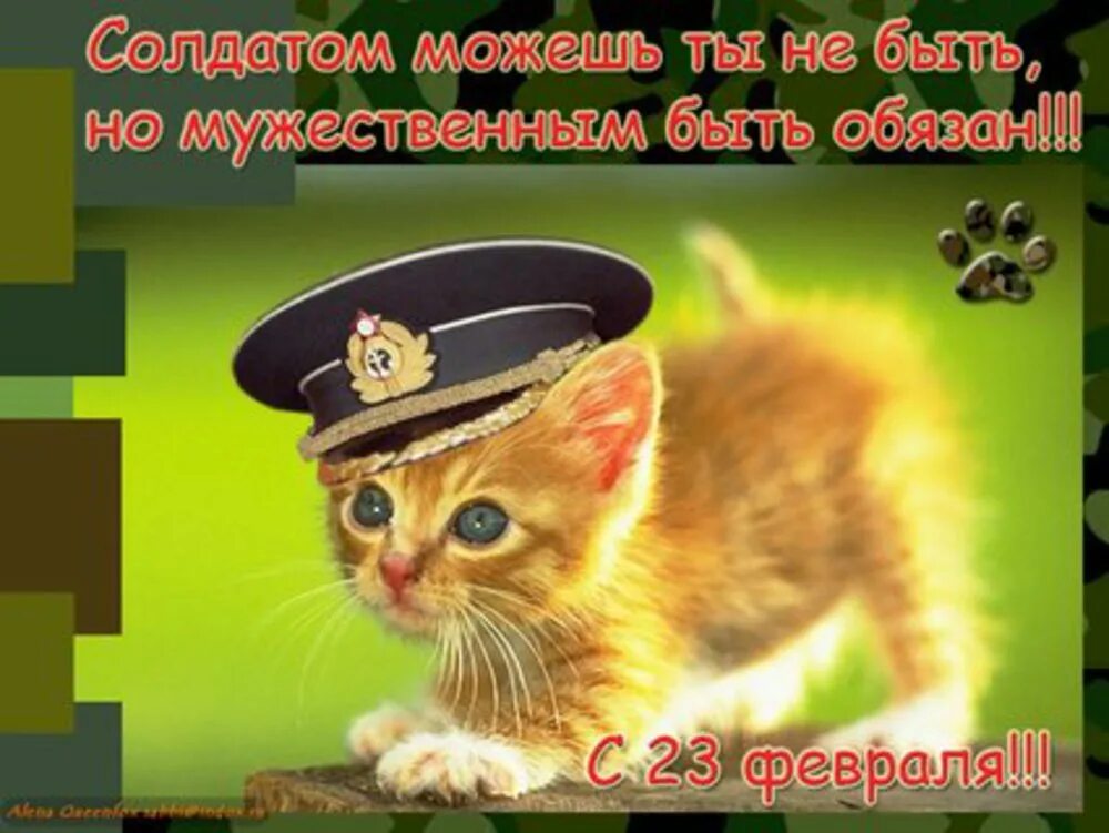 Доброе утро поздравляю с 23 февраля. С 23 февраля. поздравление с 23 февраля. открытка 23 февраля. поздравления с 23 февраля открытки.