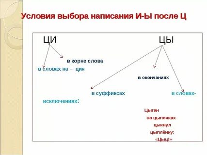 Слова с буквой цы