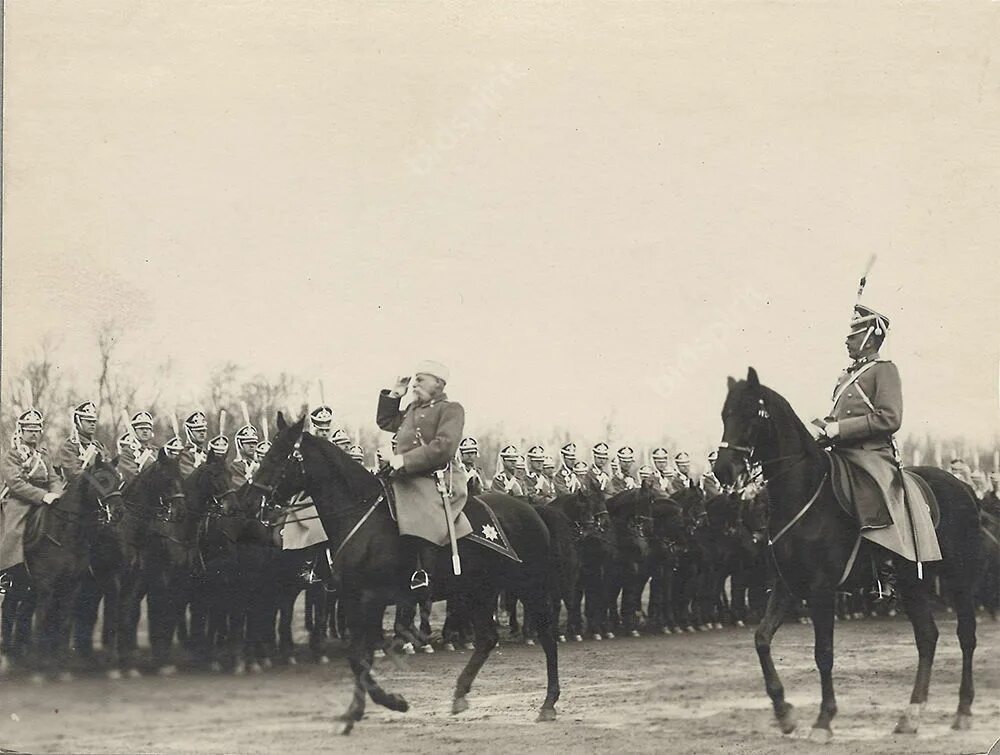 Cabinet portrait фотография до 1917. Гатчинские кирасиры. Гатчинские кирасиры. Запасные гвардейские полки. Запасные гвардейские полки.