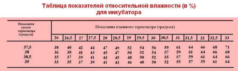 Как поднять влажность в инкубаторе. Таблица для определения влажности воздуха в инкубаторе. Таблица влажности в инкубаторе Несушка. Таблица влажности воздуха от температуры в инкубаторе. Как определить влажность воздуха в инкубаторе Несушка.