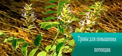 Встань трава