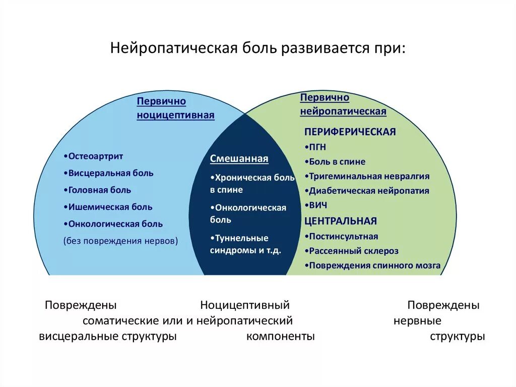 Нейропатическая боль в спине. Что такое нейролептические боли. Хроническая нейропатическая боль. Нейропатическая боль это боль. Примеры нейропатической боли.