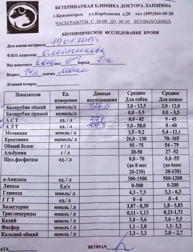 Алт у котов. Гепатит анализ крови биохимия. Биохимический анализ при гепатите. Биохимический анализ крови при гепатите. Биохимический анализ крови собаки на гепатит.