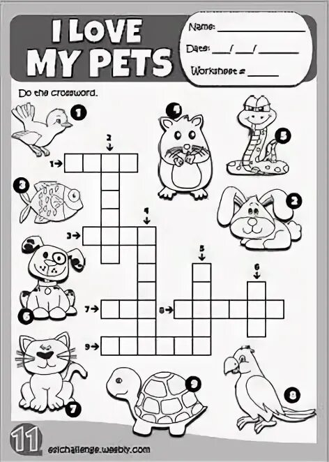 My pets английский язык. Упражнения английский my pet. My pet worksheets for kids. Pets задания для детей. My pets английский язык.