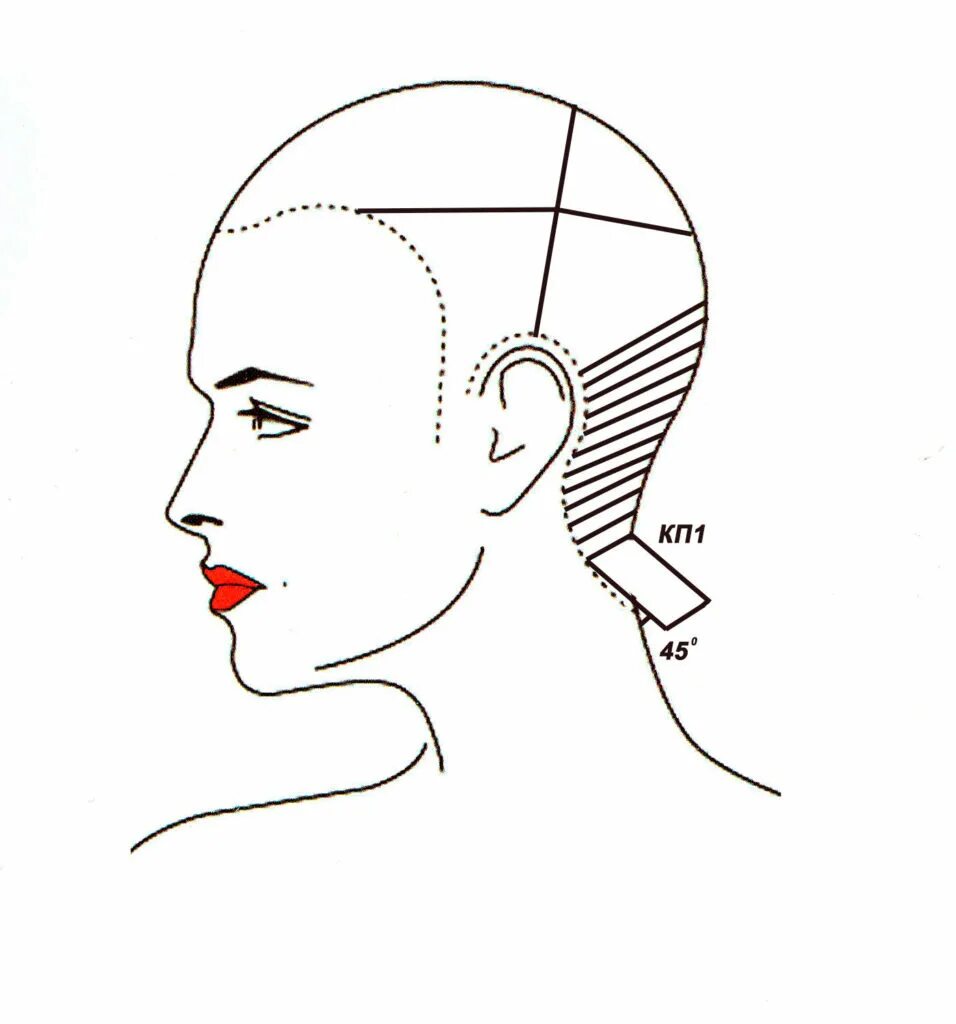 зоны женской стрижки. каскад схема стрижки теменной зоны. схема стрижки теменной зоны. стрижка гарсон техника выполнения пошагово. затылочная зона головы для парикмахеров.
