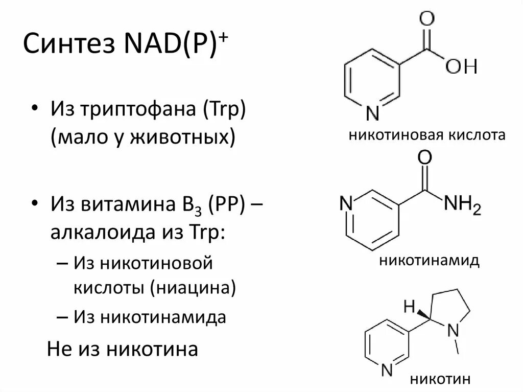 Синтеза упаковка. Схема синтеза никотиновой кислоты. Никотиновая кислота синтезируется из триптофана. Синтез никотинамида из триптофана. Синтез ниацина из триптофана.