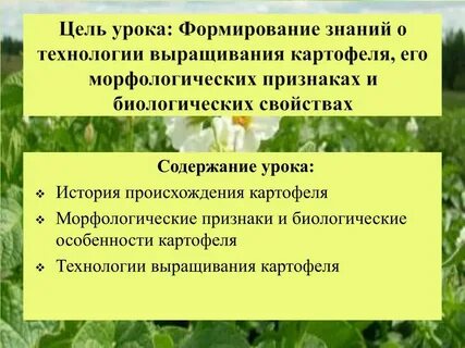 Физиологические признаки картофеля