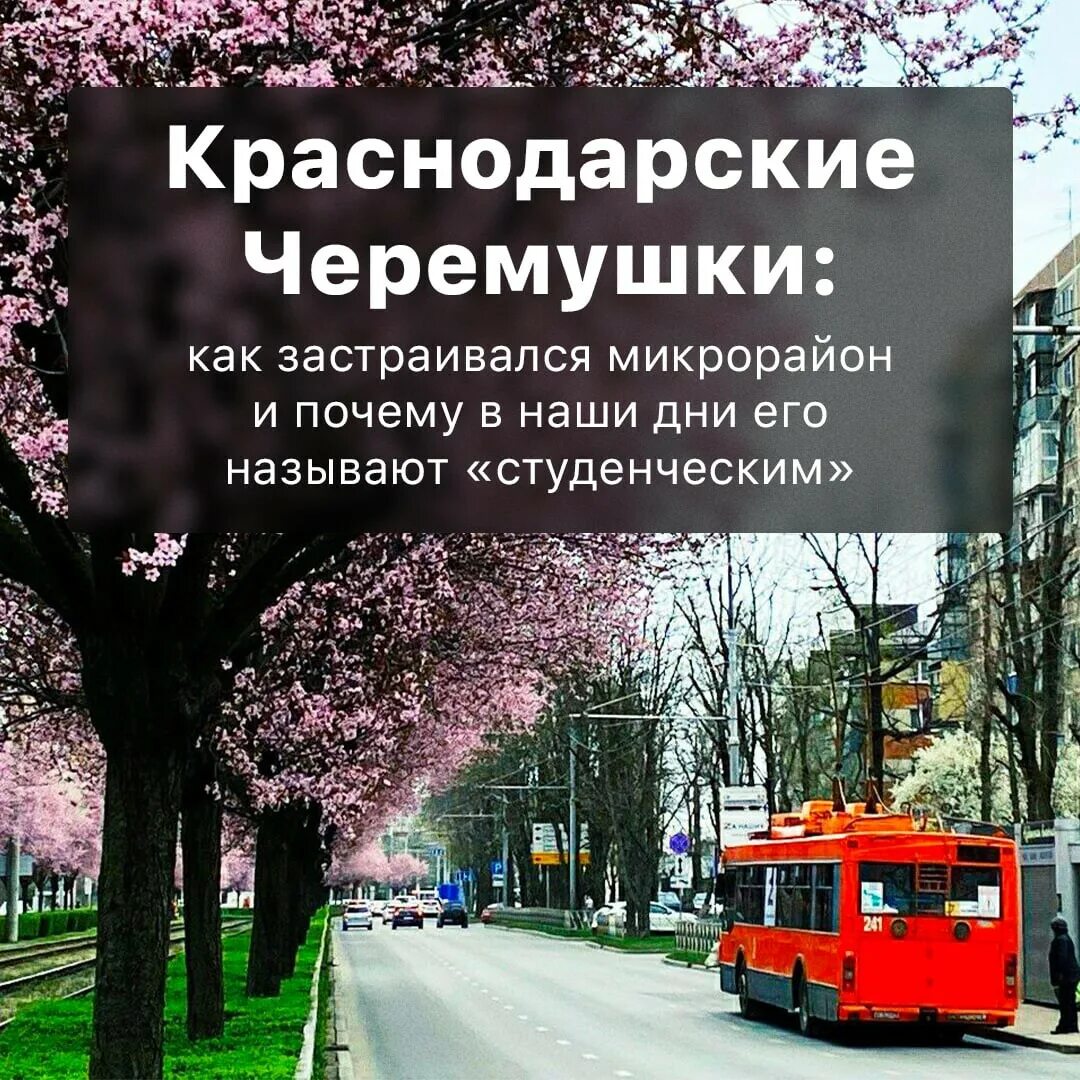 Краснодарские черемушки