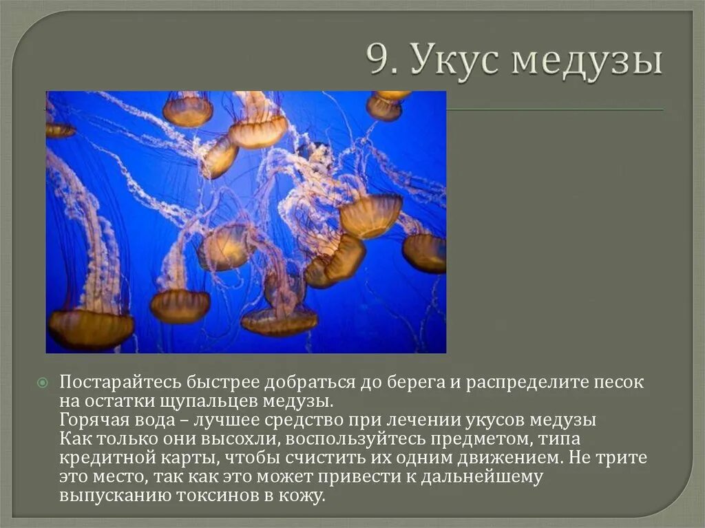 Медузы первая помощь. Первая помощь при укусе медузы. первая помощь при укусе медузы алгоритм. при делать при укусе медузы. первая помощь при ужаливании медузы.