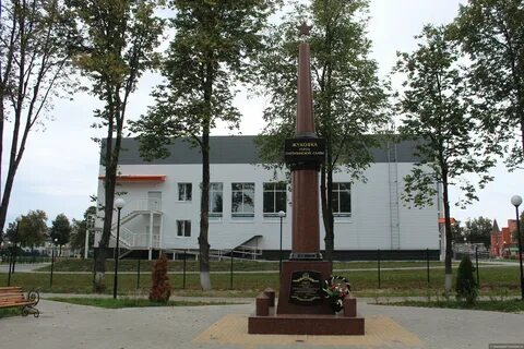 День жуковки