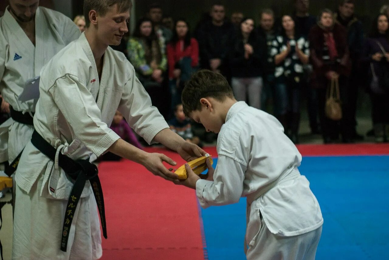 Кофукан каратэ. Федерация кёкусин-кан каратэ-до россии. Всестилевое карате хабаровск. Конев карате. Конев карате.