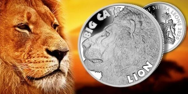 Монеты с изображением льва. Сьерра леоне big cat монеты. сьерра-леоне 2025 10 долларов лежащий лев. 2025 $1 sierra leone big cats.