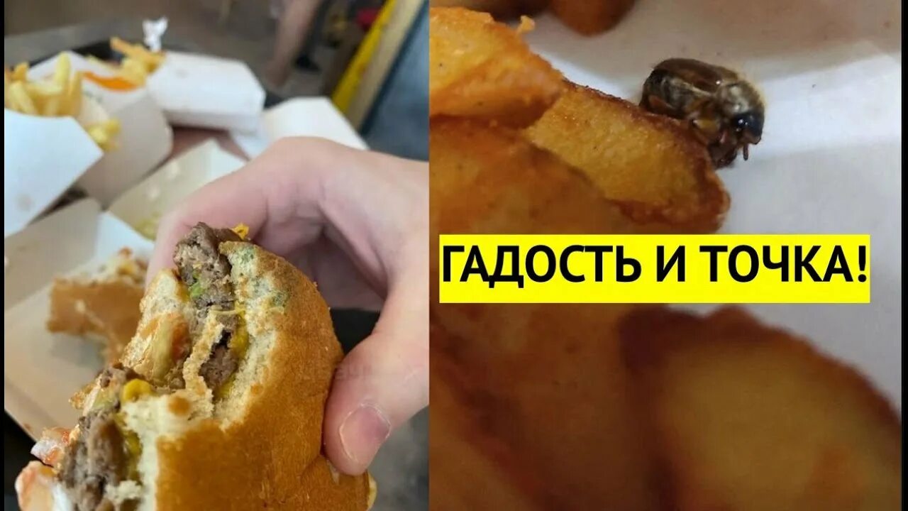 Точка ужасно. Бургер с плесенью макдональдс. Плесень в бургерах вкусно и точка. Плесень на булке макдональдс.