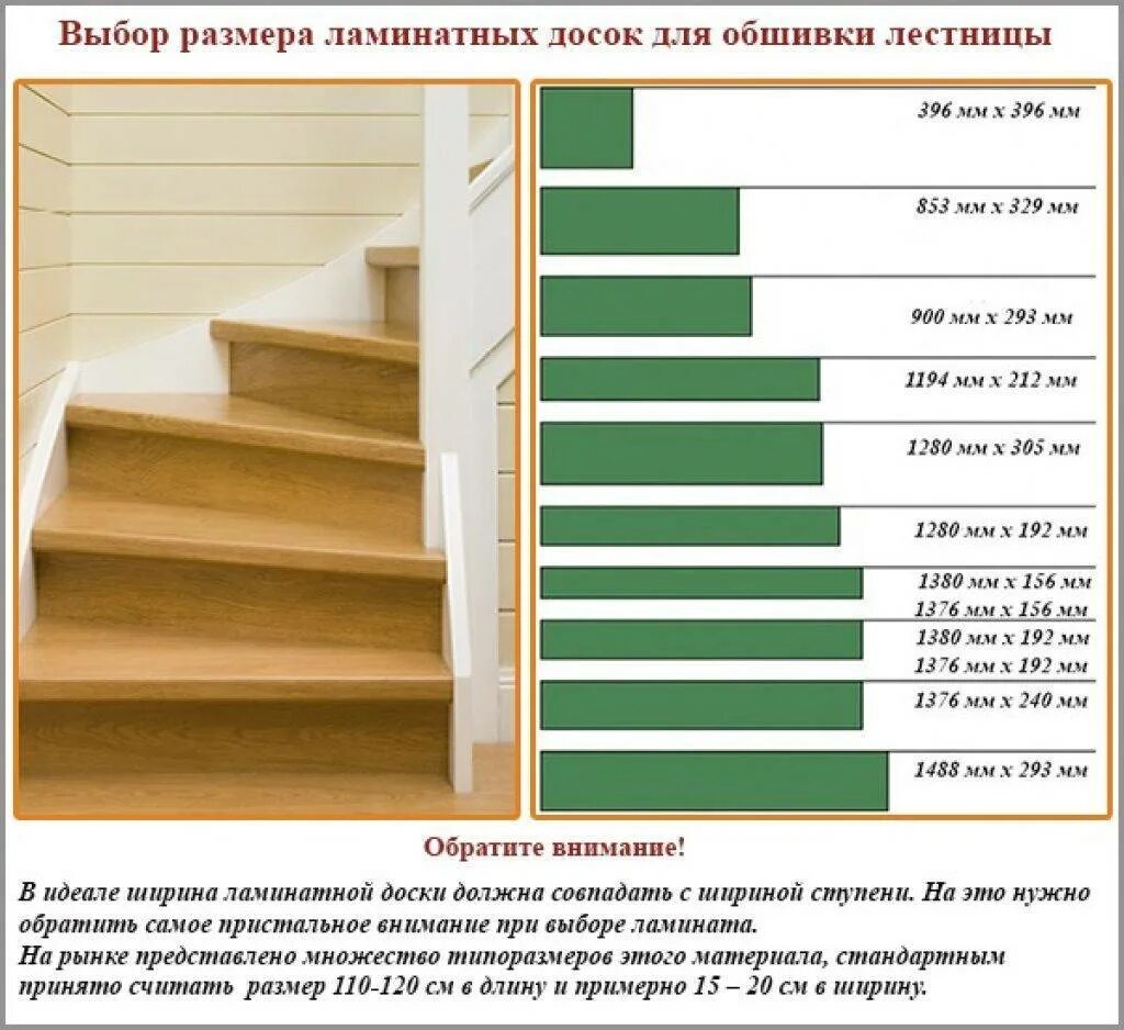 Ступени толщины деревьев