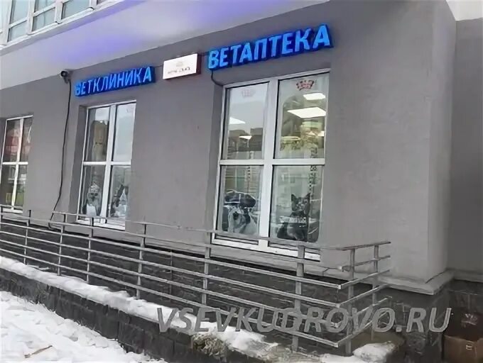 кудрово пражская аптека. пробитые колеса в кудрово на пражской 15. ветеринарная клиника кудрово. пражская 4 кудрово. пражская 15 кудрово.