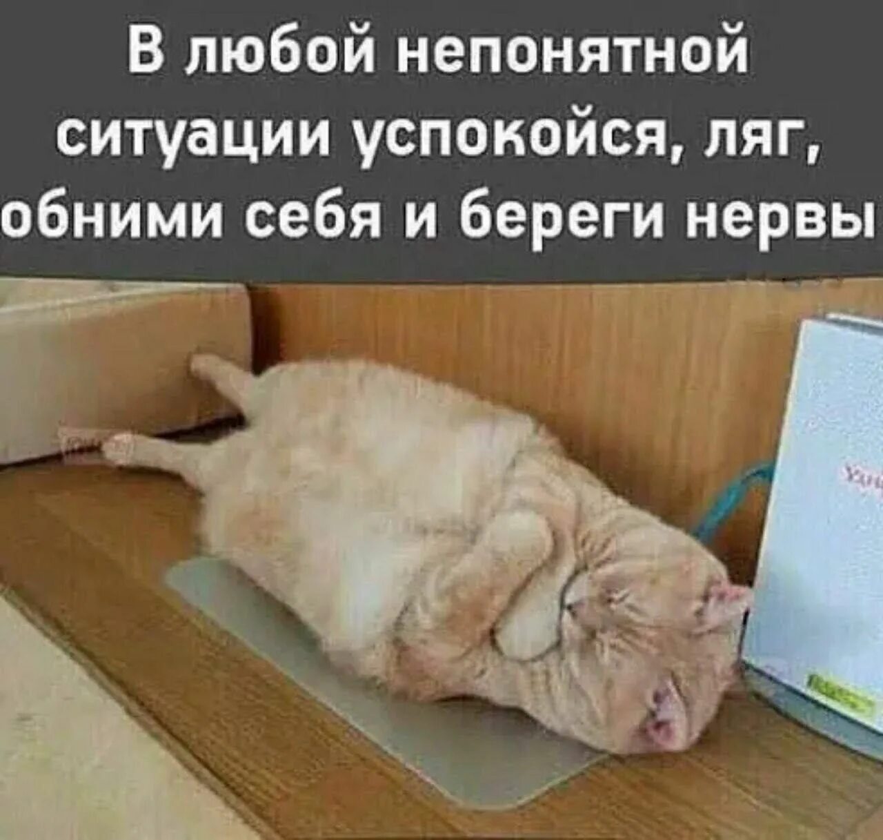 Ты уже долго работаешь лечь отдохни