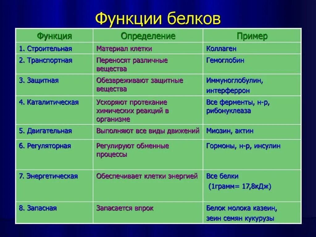 Образ функции. Назовите основные функции белков. Функции белков биология 8 класс. Функции белков с примерами. Перечислите функции белков.