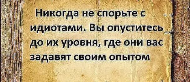 Не спорь до уровня. Не спорьте с идиотами. Никогда не спорьте с идиотами вы опуститесь. Никогда не спортесь с идиотами. Никогда не спорьте.