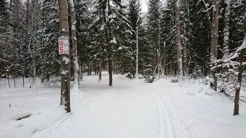 Троицк лесная