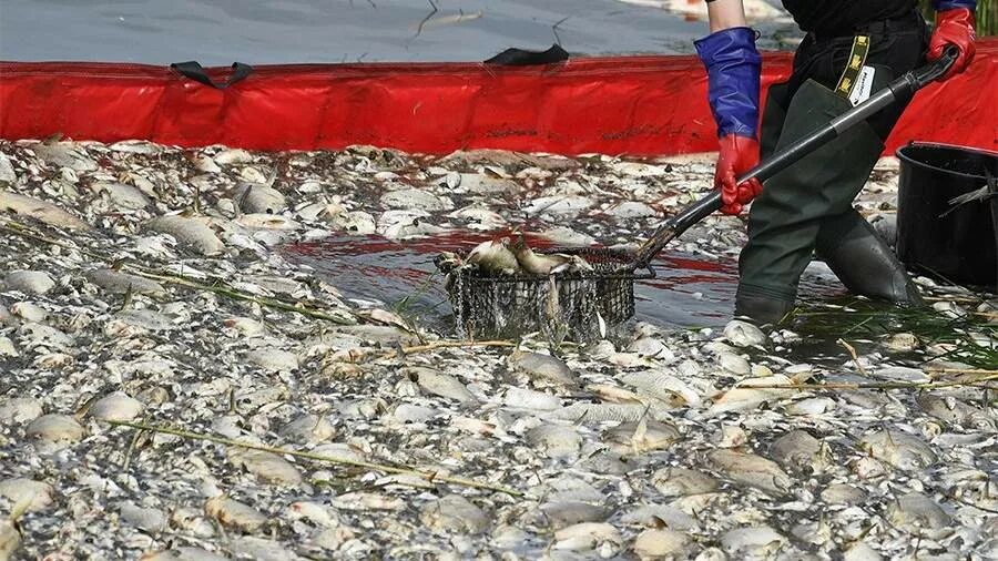 Экологическая катастрофа. Экология мусор. Экологическая катастрофа 2022 год. Экологическая катастрофа 2022 год. Недавние катастрофы экологии.