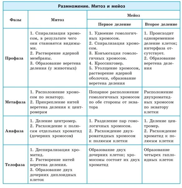 Митоз мейоз заполнить таблицу