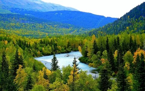 Какое будет лето в западной сибири