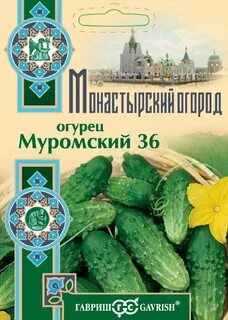 Огурцы гавриш