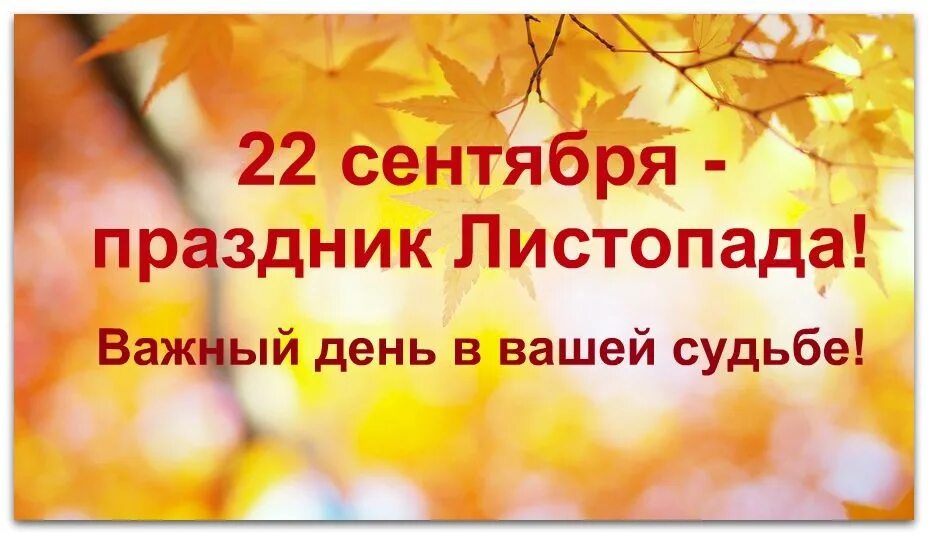 22 Сентября праздник. Праздник листопада. Праздники в сентябре. 22 Сентября праздник картинки. 22 сентября день ночи