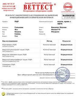 Пцр тесты детям