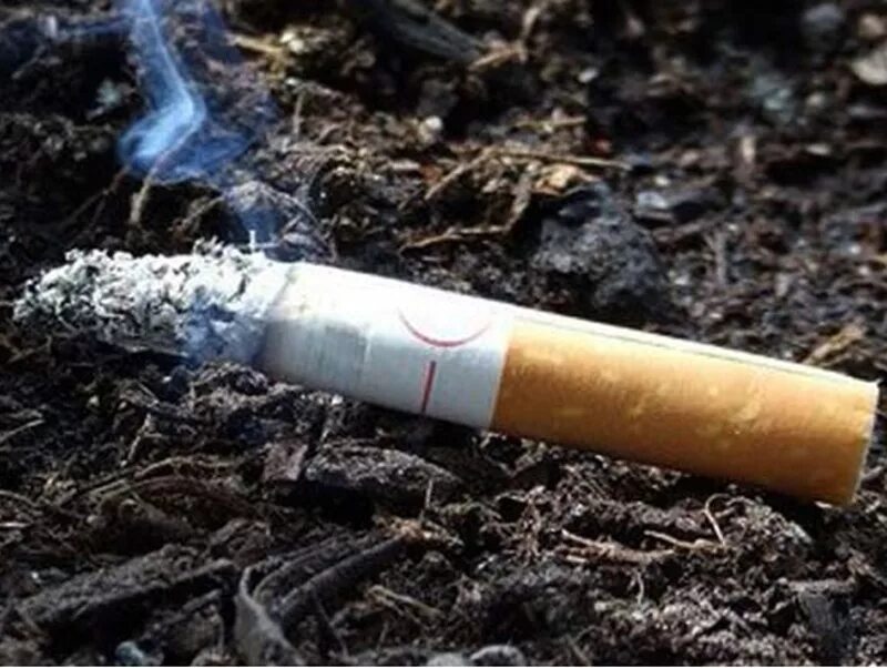 Он сердито швырнул окурок зашипевший в луже