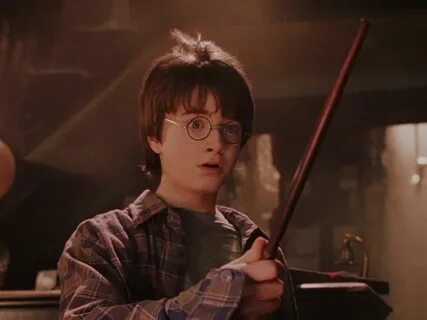 Harry potter home