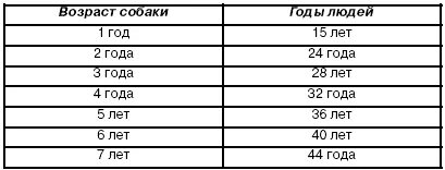 1 год равно сколько дней