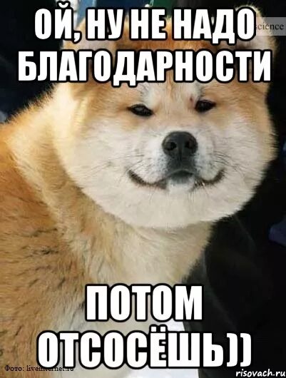 Мне работа надо пожалуйста. Не надо благодарности. не стоит благодарности. благодарность мем. не надо благодарности мем.