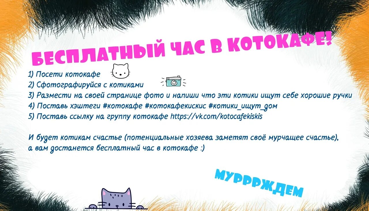 Кис кис красноярск. День рождения в котокафе. Меню котокафе. Котокафе Красноярск. Котокафе игра правила.