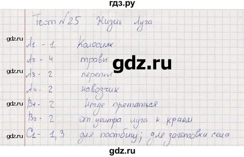 Тест 25 по физике